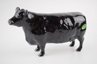 Beswick Aberdeen Angus cow. In good condition with no obvious damage or restoration