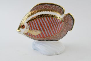 Royal Crown Derby paperweight, from the Tropical Fish Series, Tropical Fish Gourami, gold stopper