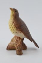 Beswick matte thrush 2308. In good condition with no obvious damage or restoration.