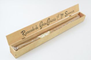 Cased large 40cm long cigar 'Recuerdo de Gran Canaria Souvenir'.