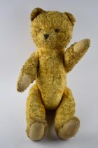 Large Edwardian teddy bear with moving joints and a voicebox, 57cm long. Voicebox requires