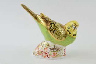 Royal Crown Derby paperweight, Spangle Grey Green Budgerigar, 11cm, exclusive for the Dewesbury