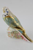 Royal Crown Derby paperweight, Sky Blue Budgerigar, 11cm, exclusive for the Dewesbury Group, this is