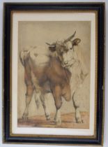 Original Lithograph depicting a standing bull, print by Thomas Sidney Cooper, dated 1837. In