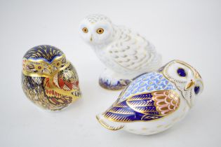 Three Royal Crown Derby paperweights, Snowy Owl, an exclusive for the RCD Collectors Guild, Little