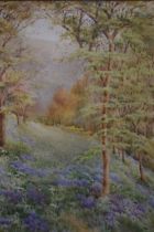 Ethel Sophia Cheeswright 1874-1977: a framed watercolour of a woodland scene with lavender, signed