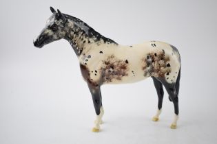 Beswick (Royal Doulton) Appaloosa Horse 1772. 20cm tall. In good condition with no obvious damage or