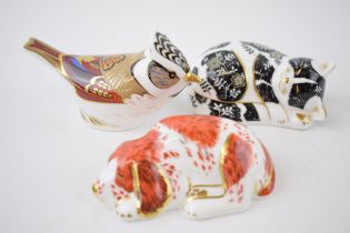 Three Royal Crown Derby paperweights, Misty Kitten, Puppy and Crested Tit, all exclusive to the