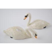 Beswick Swans 1684 and 1685 (2). In good condition with no obvious damage or restoration.