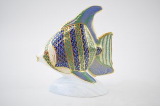 Royal Crown Derby paperweight from the Tropical Fish Series, Angel Fish, date code for 1991 (LIV),