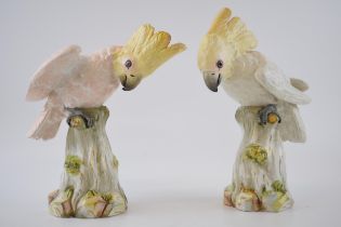 A pair of Meissen figures in the forms of a cockatoo, circa 1900, naturalistically modelled, crossed