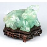 Liegender Wasserbüffel mit rücklings gedrehtem Kopf China