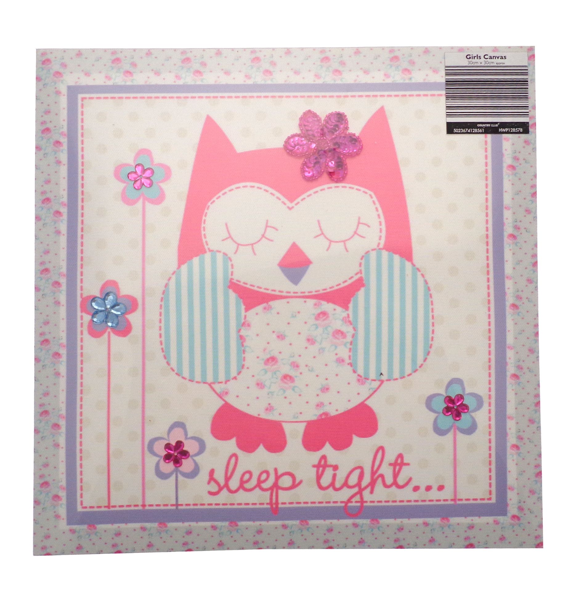 New Square 30 x 30cm Pink Sleep Tight Owl Canvas