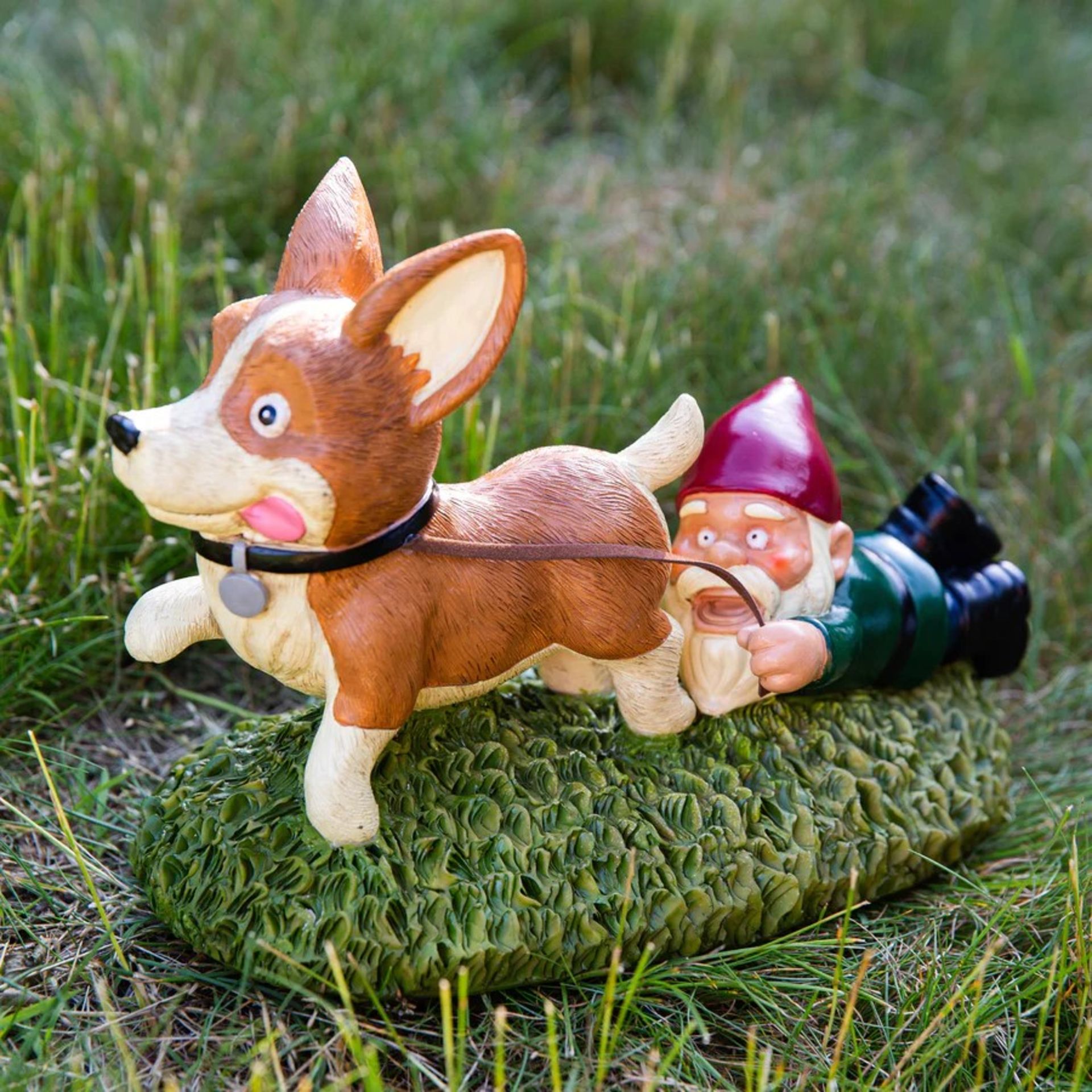 New Walking The Dog Funny Garden Gnome