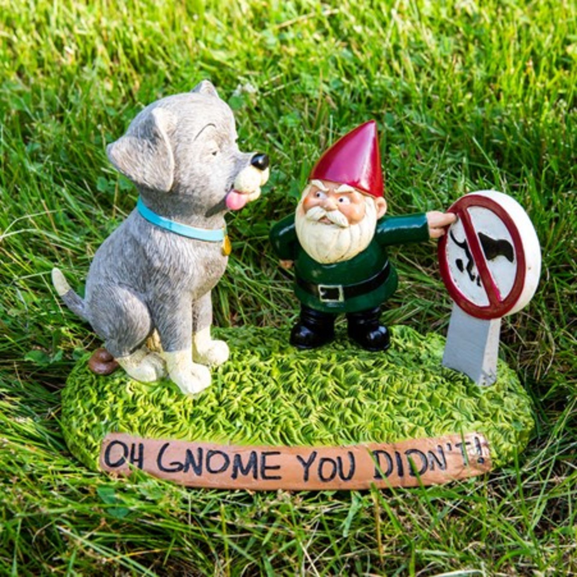New Bag Dog Oh Gnome They Didn’t Garden Gnome