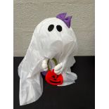 RRP £32.99 - Standing Ghost