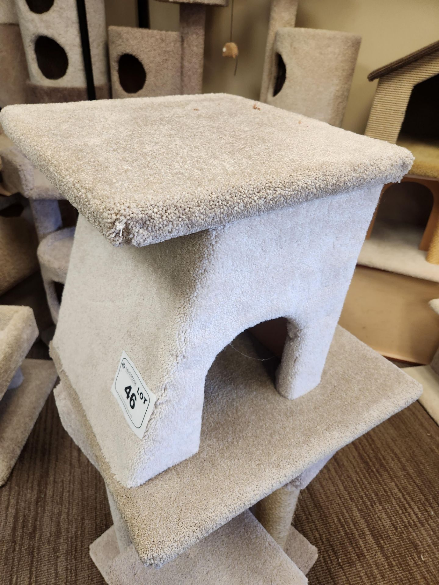 Cat House