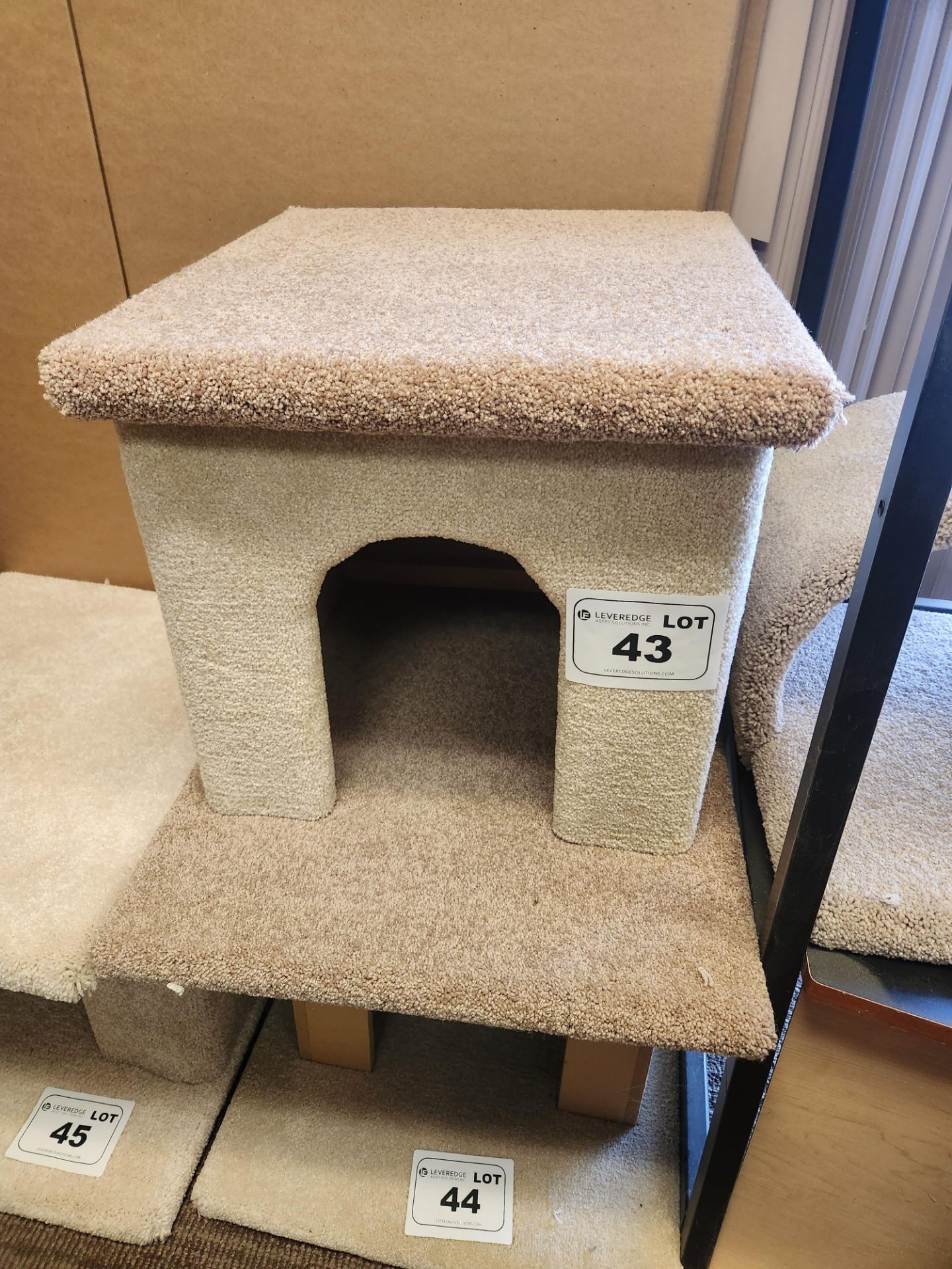 Cat House