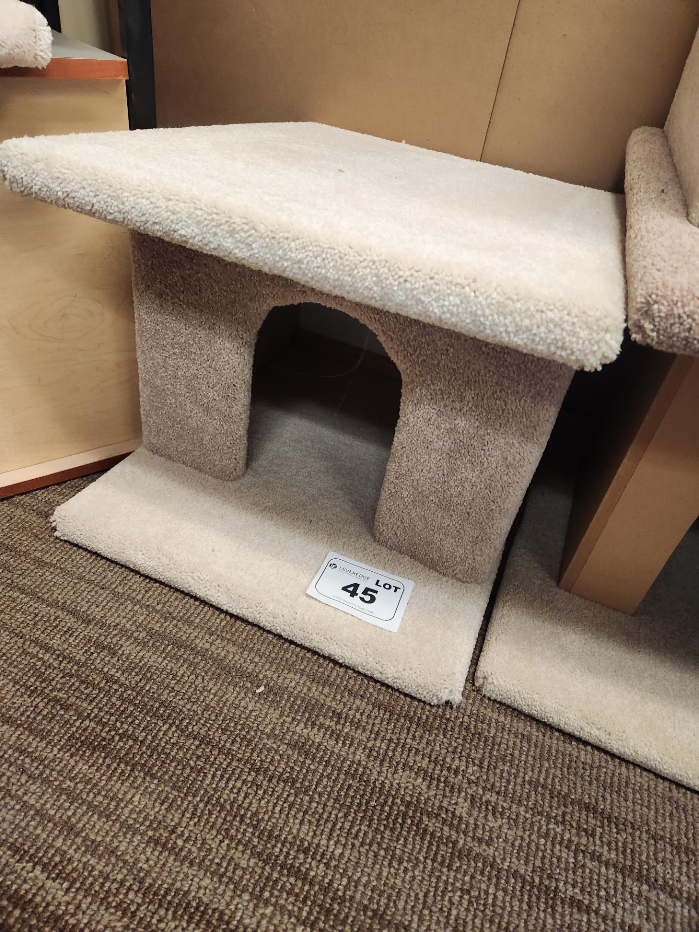 Cat House