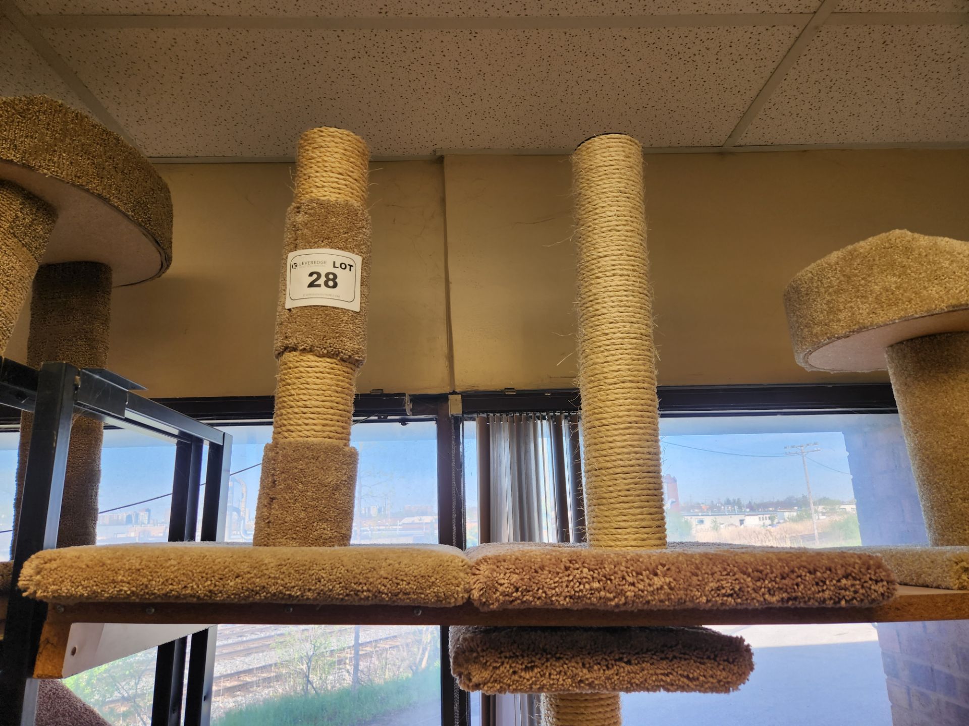 Lot of Cat Scratch Posts