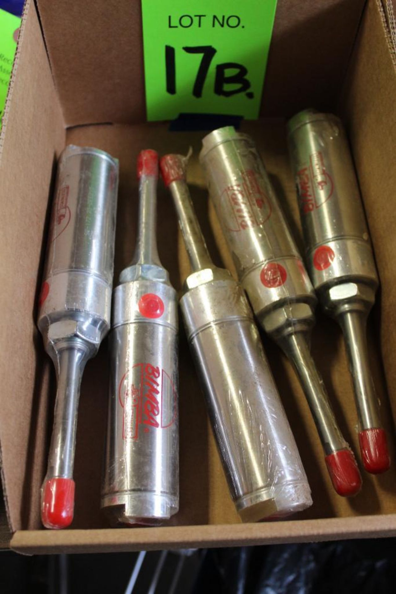 Lot of (5) Bimba, SR.172.25-DEC2.5, Stainless Air Cylinders