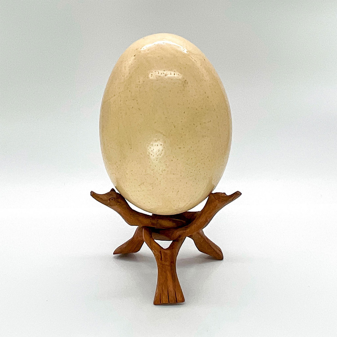 Ostrich Egg with Carved Wood Cobra Stand