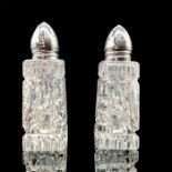 Pair of Crystal Salt and Pepper Shaker