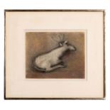 Kathleen Cooke (Irish, 1908-1978) Drawing, Deer, Signed