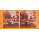 Antique Stereograph Photography, Arlington Military Cemetary