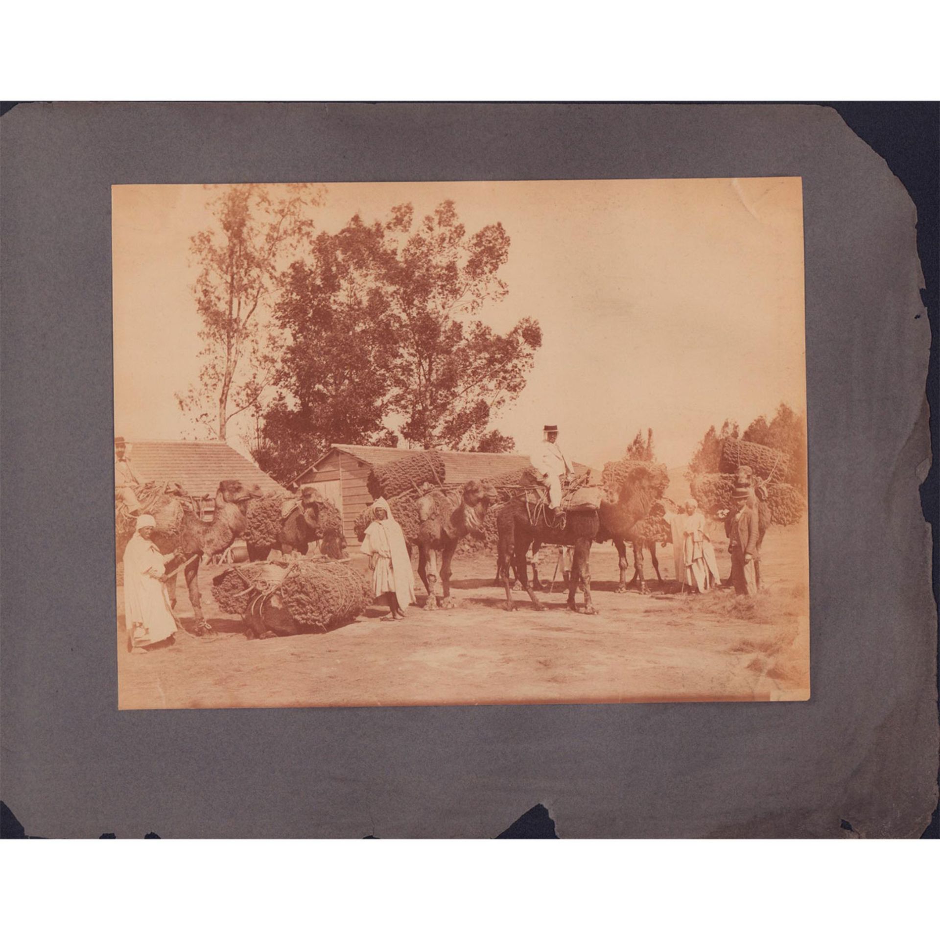 Antique Silver Gelatin Photograph, Algerian Caravan