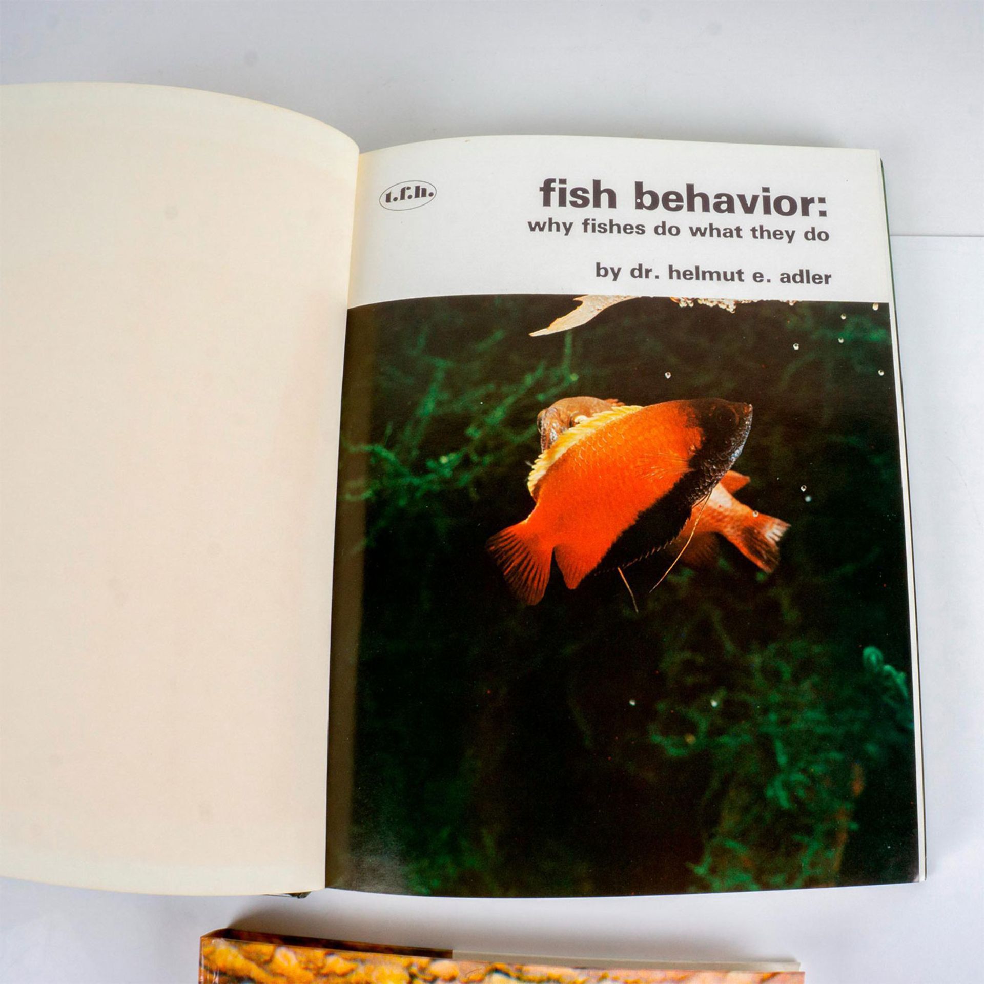 3 Hardcover Aquarium Books, Tropical Fish Care - Bild 3 aus 10