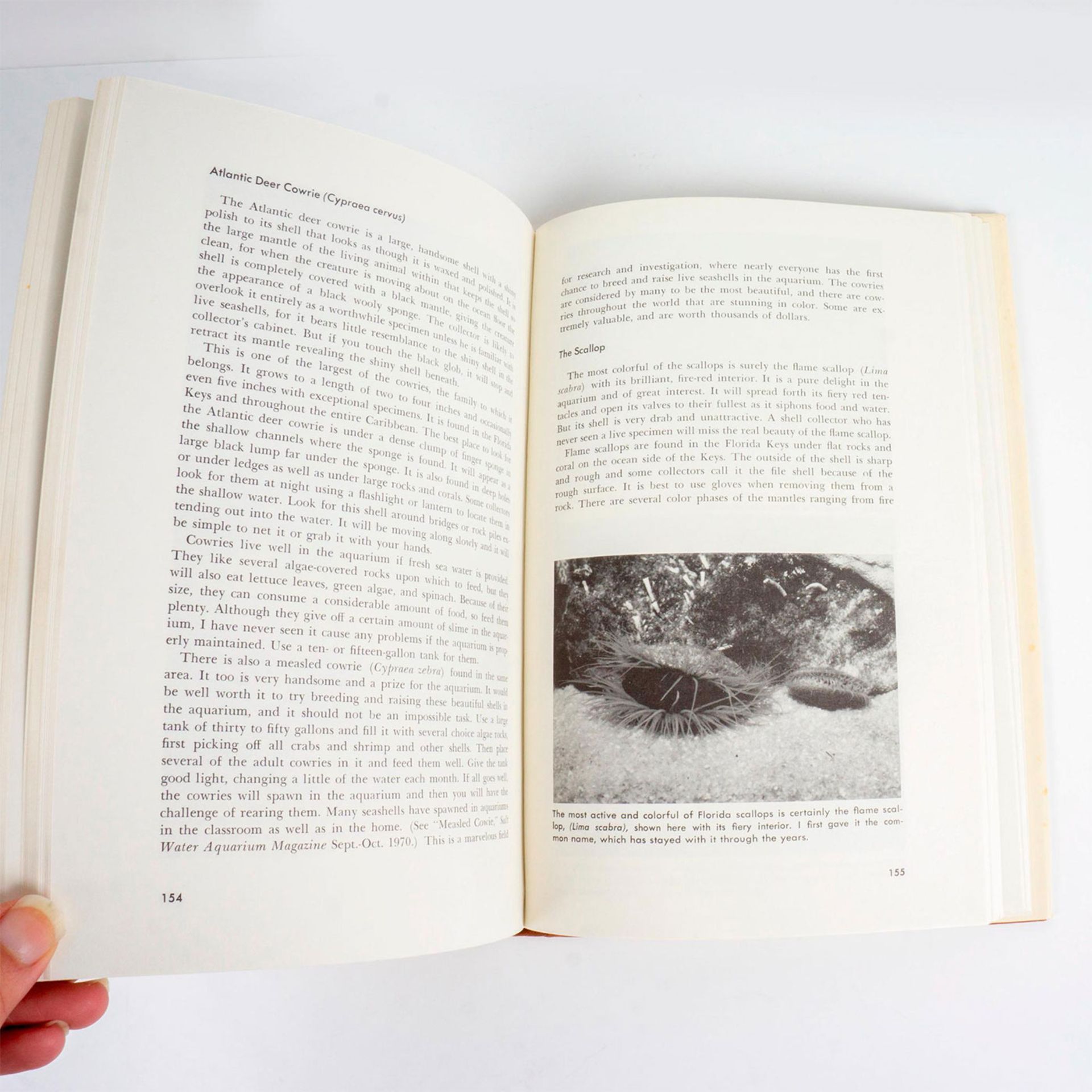 3 Hardcover Aquarium Books, Tropical Fish Care - Bild 10 aus 10