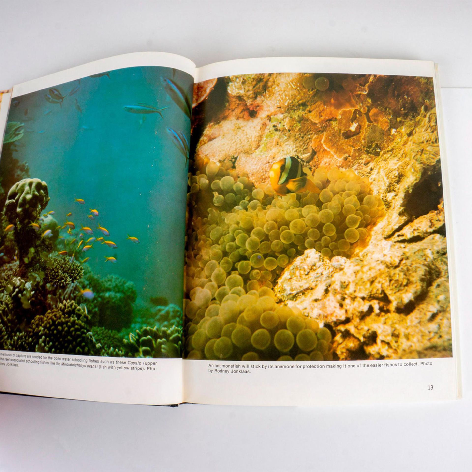 3 Hardcover Aquarium Books, Tropical Fish Care - Bild 7 aus 10