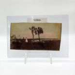 Vintage Monochrome Print, Florida Everglades