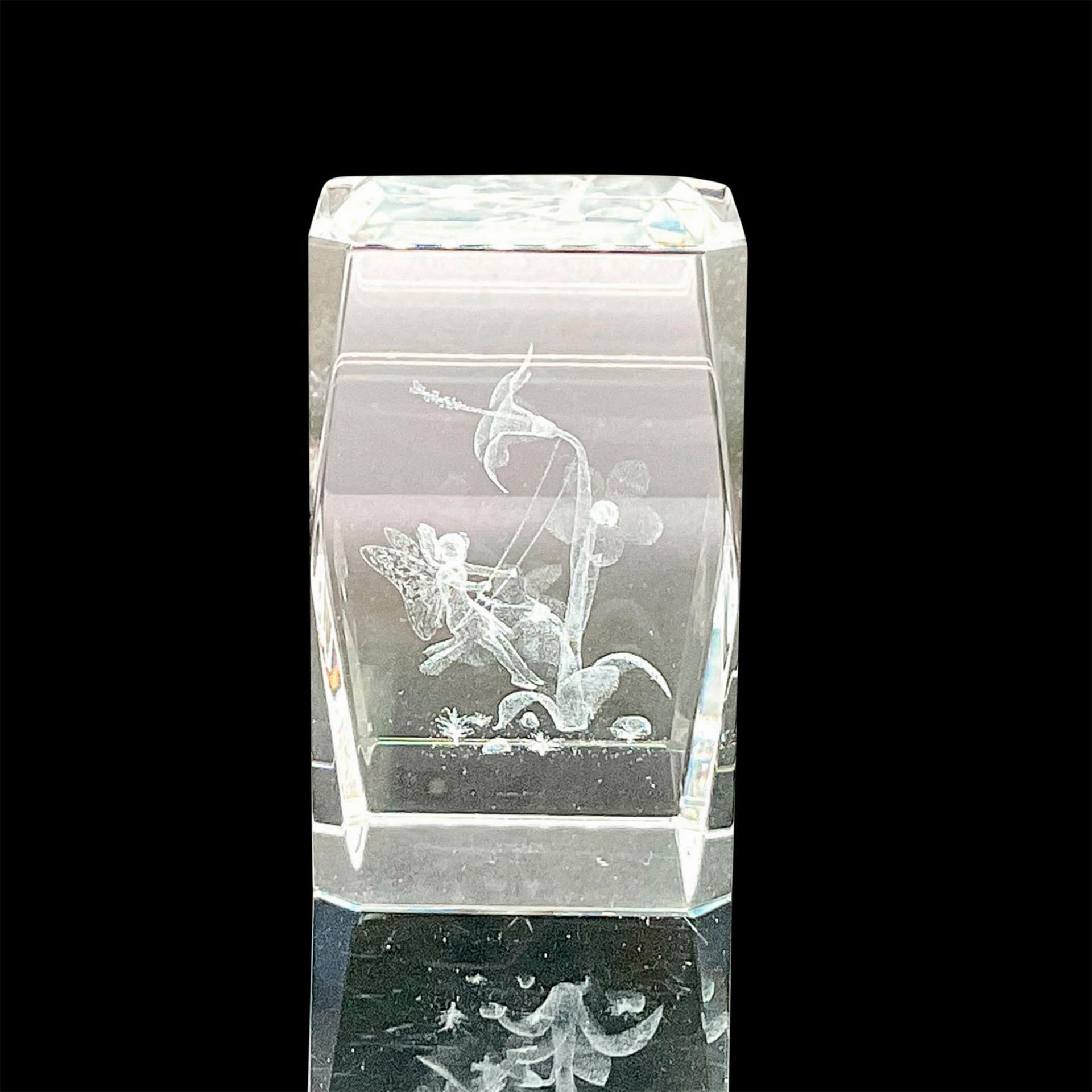 Vintage Crystal Clear Fairy Floral Paperweight