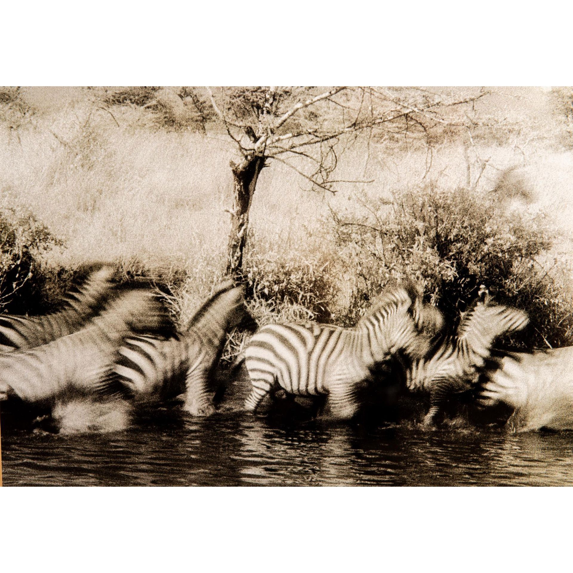 Lorne Resnick, Black & White Photographic Wall Art Print - Image 5 of 6