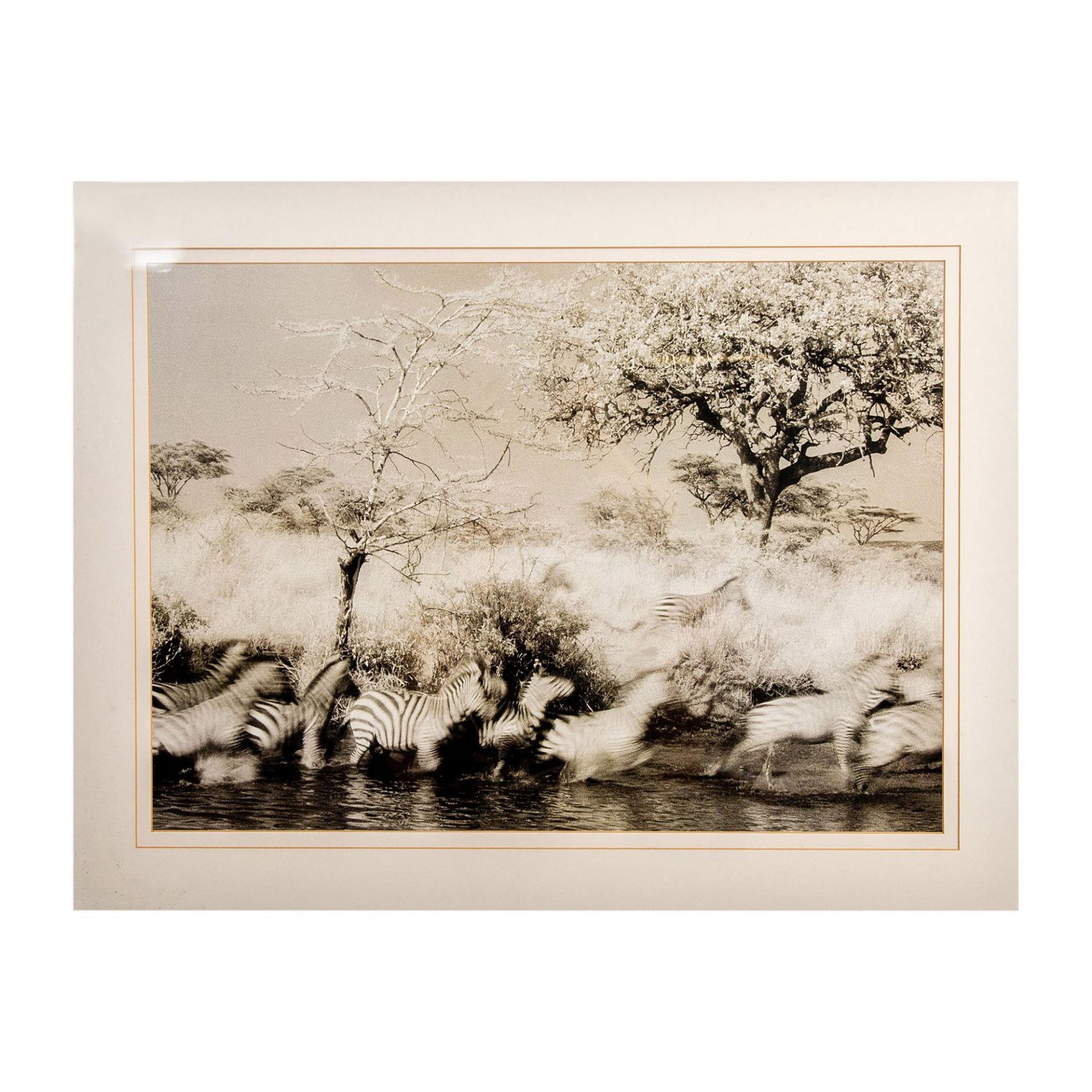 Lorne Resnick, Black & White Photographic Wall Art Print - Image 2 of 6