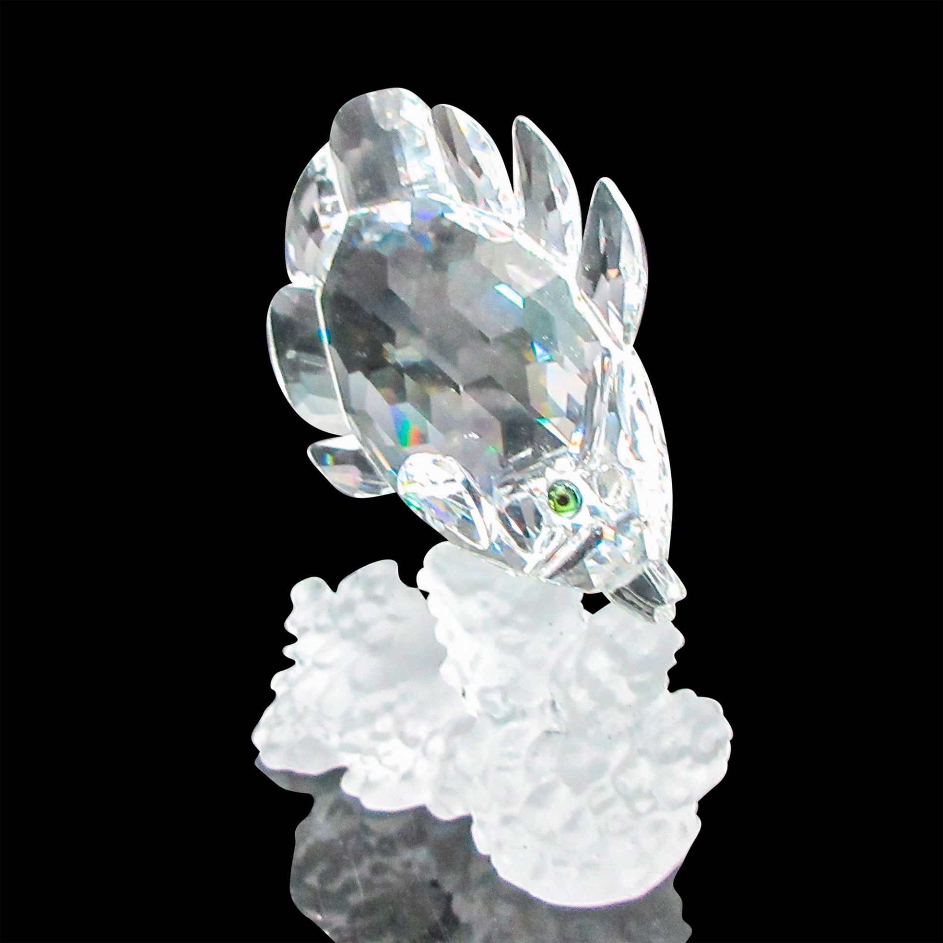 Swarovski Crystal Figurine, Blue Tang Fish - Image 4 of 4