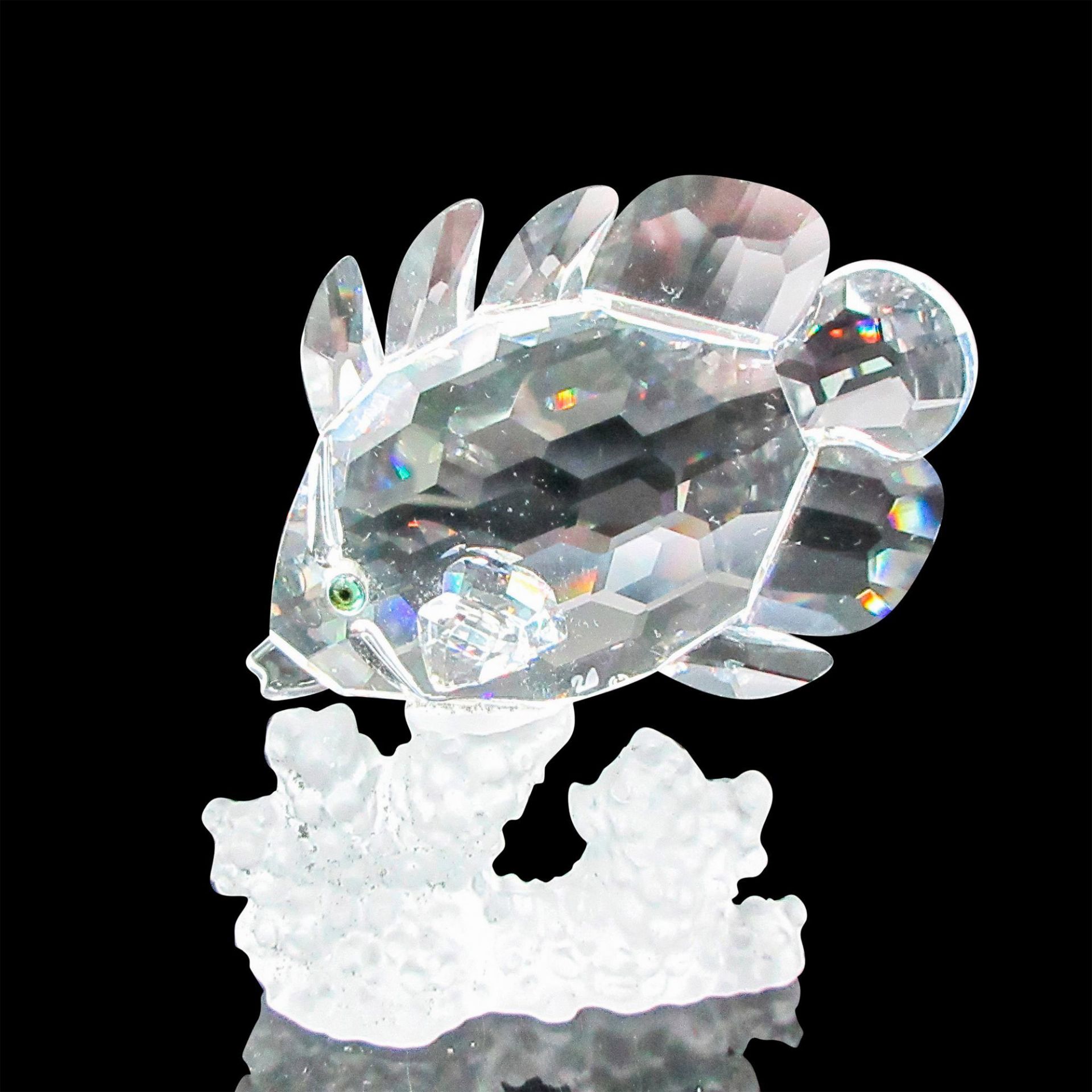Swarovski Crystal Figurine, Blue Tang Fish - Image 3 of 4