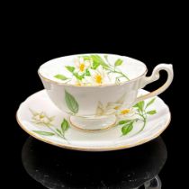 2pc Shelley England Cup and Saucer, Syringa