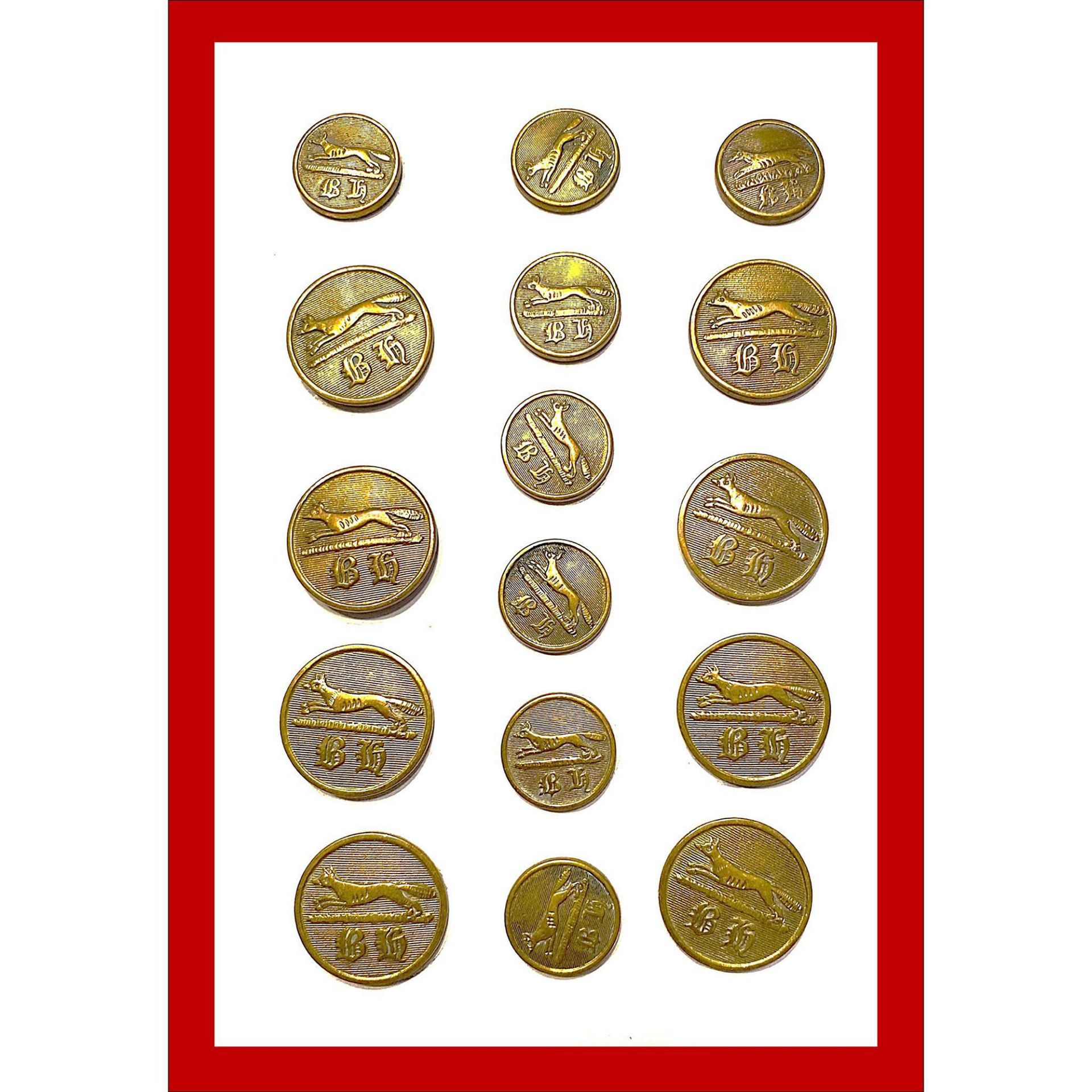 A Card of A Set of Metal Pictorial Animal Buttons