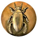 A Division One Brass Insect Button
