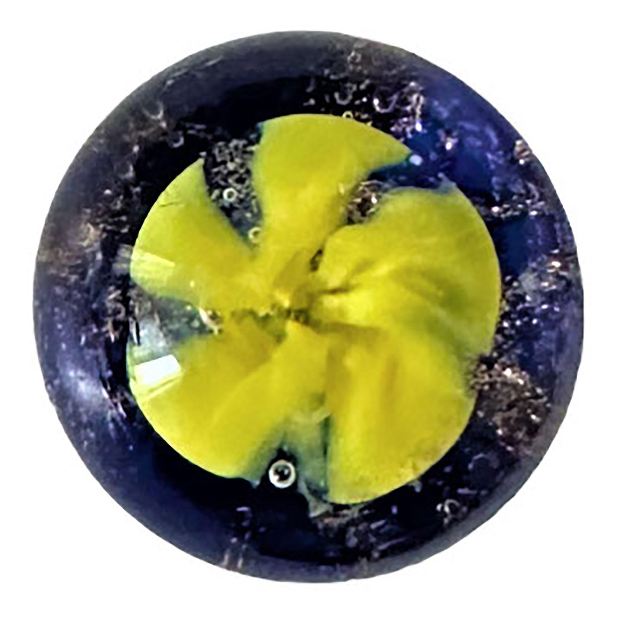 A Small Card of Div 3 Studio Artist Paperweight Buttons - Image 5 of 5