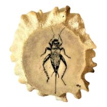 A Division One Engraved Insect Button