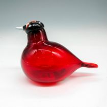 iittala Oiva Toikka Art Glass Figurine, Little Tern-Tirri