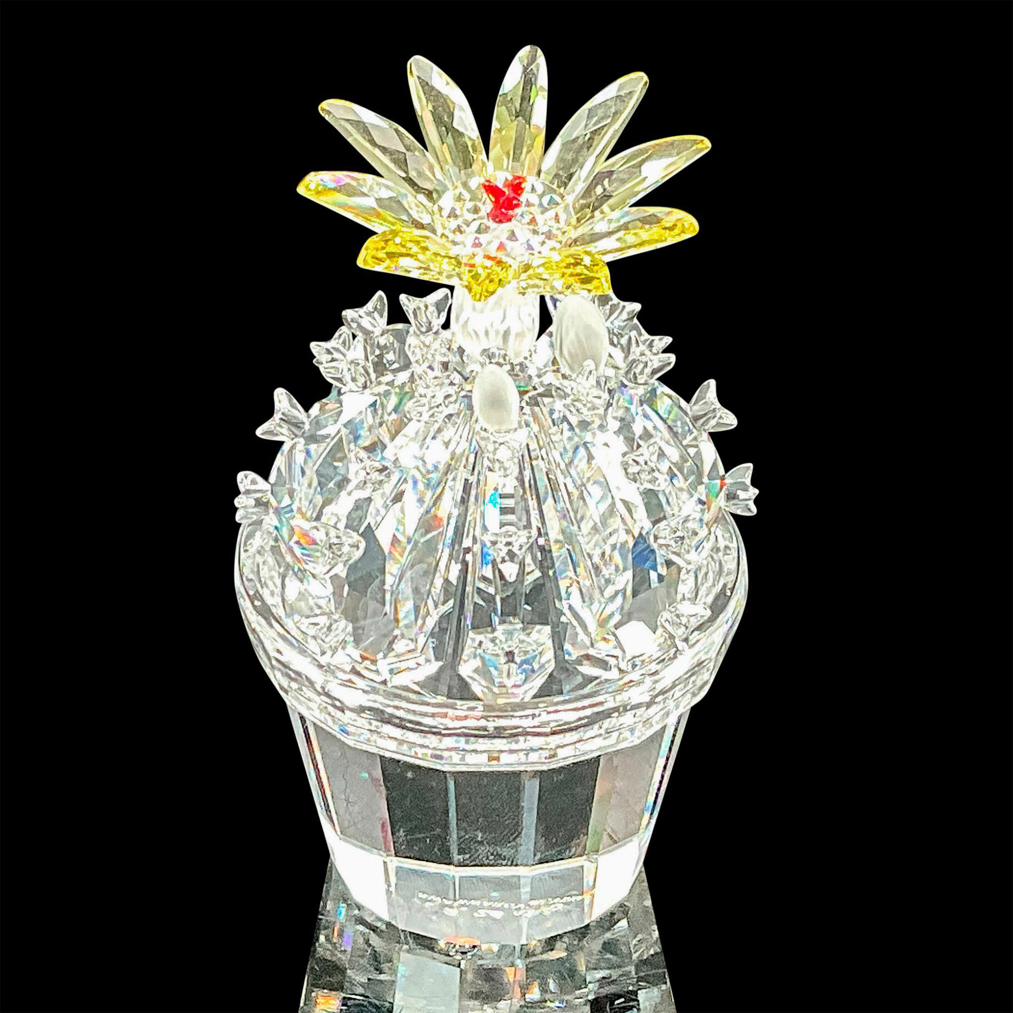 Swarovski Crystal Figurine, Cactus Flowering