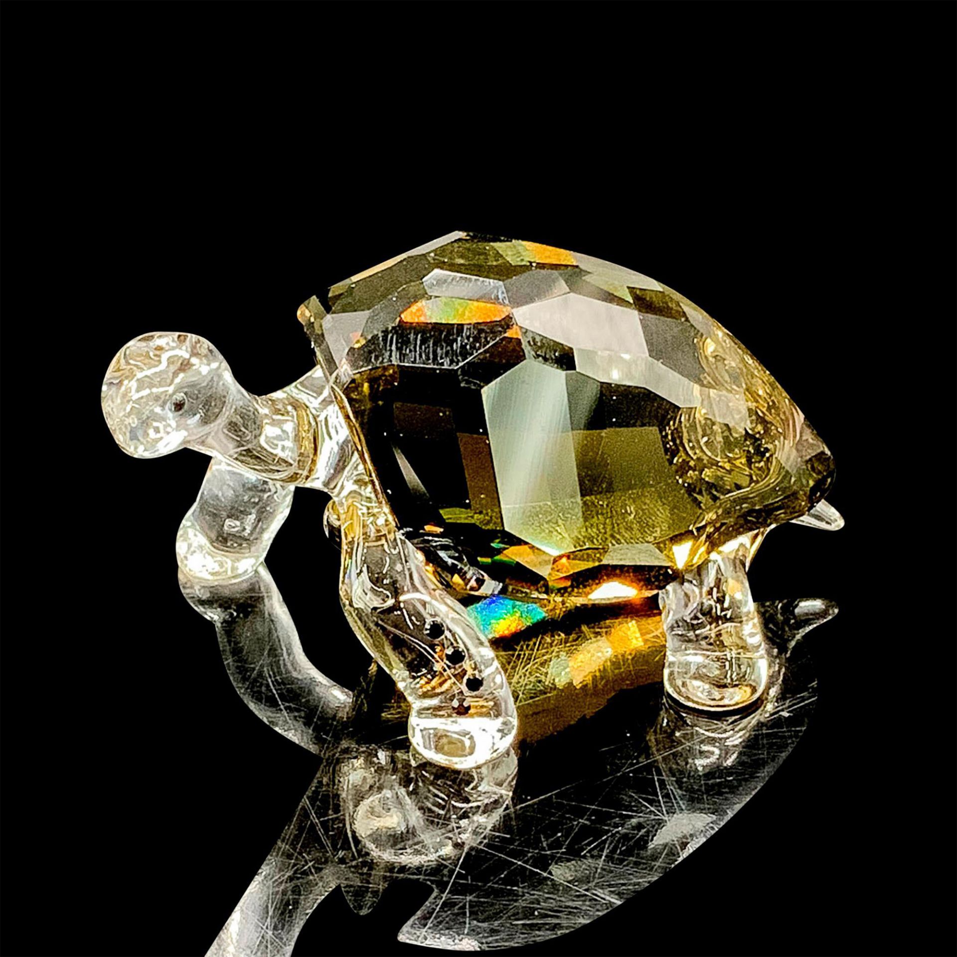 Swarovski Crystal Figurine, Galapagos Tortoise 995036