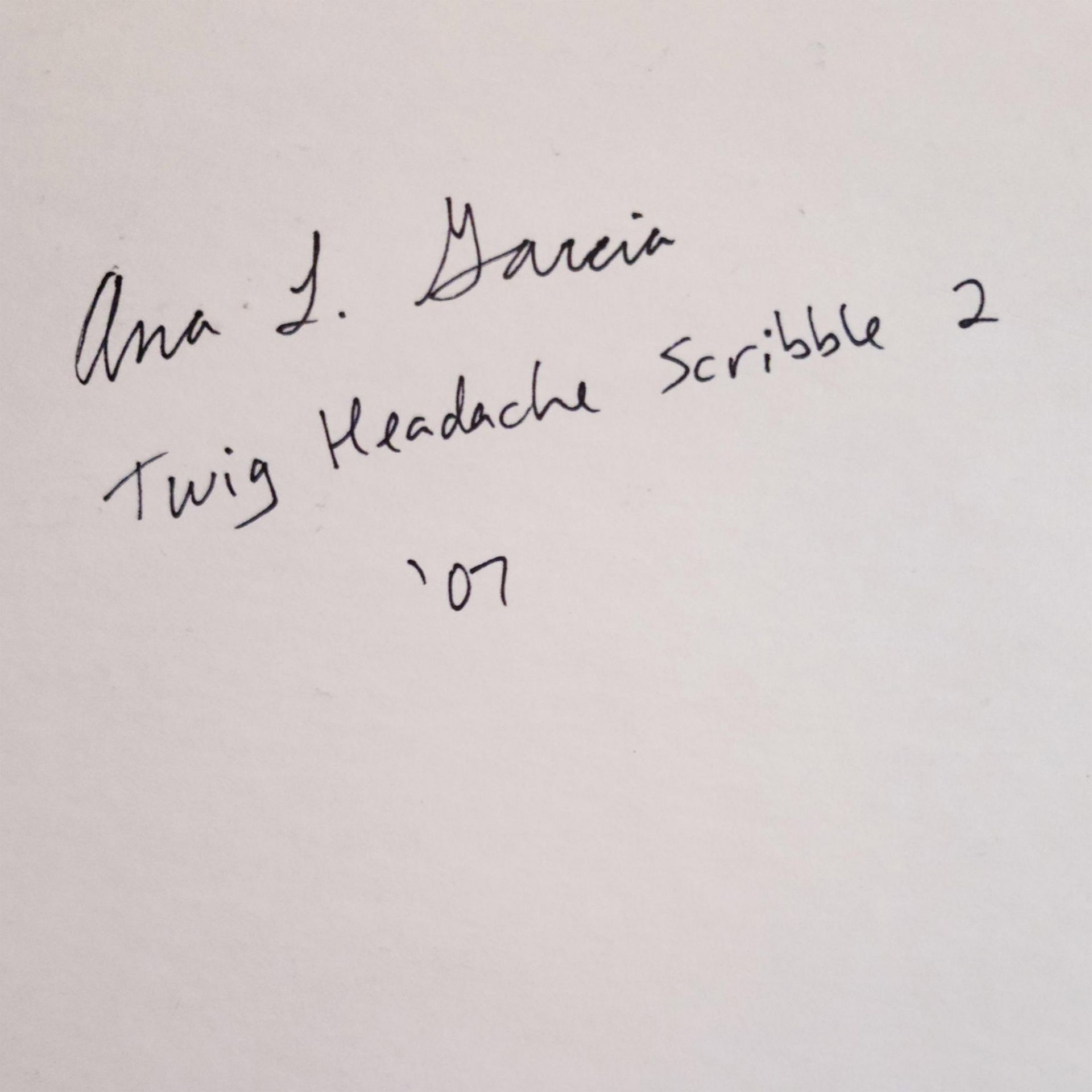 Ana Garcia (American b. 1982) Signed Original Drawing, Twig Headache Scribble 2 - Bild 3 aus 4