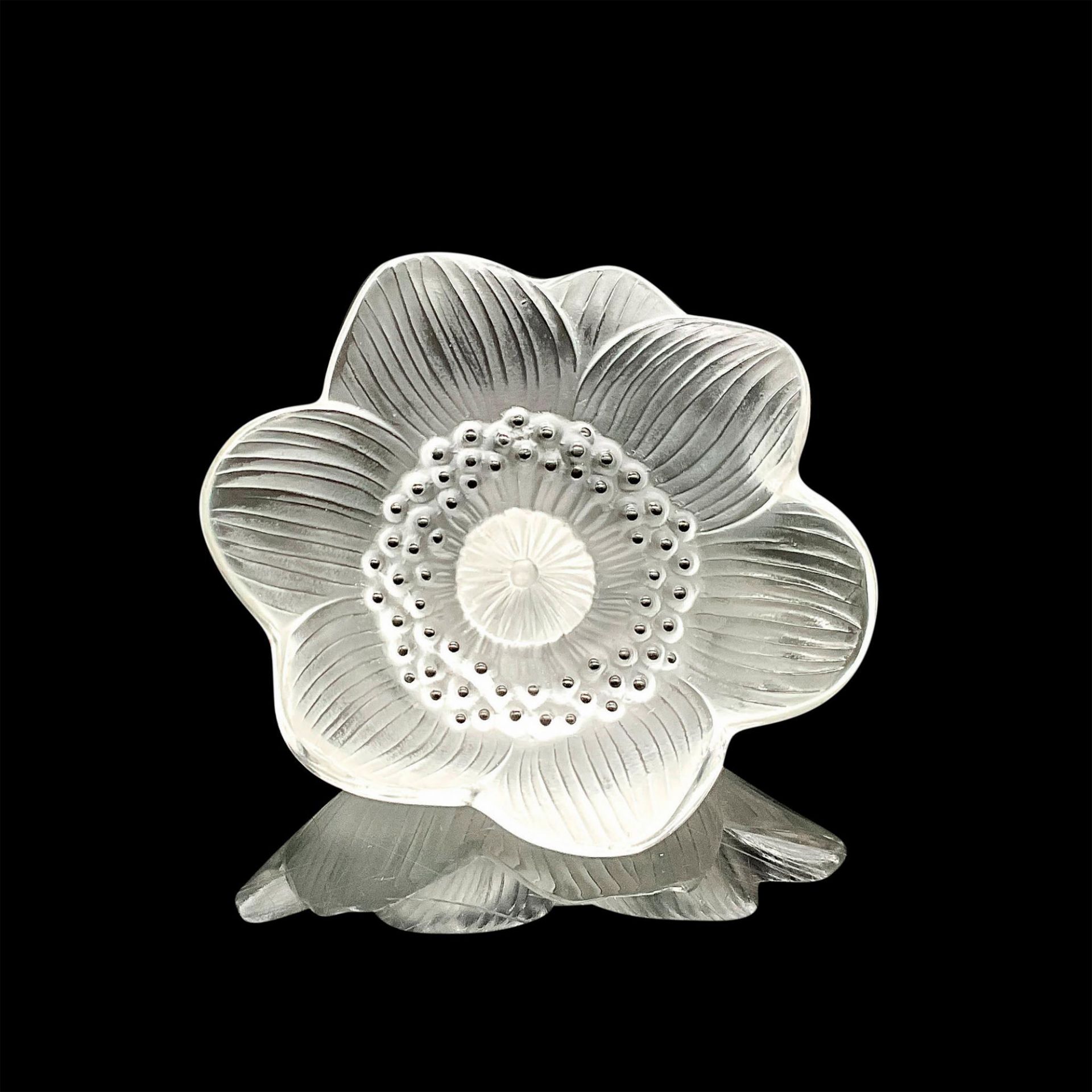 Lalique Crystal Anemone Flower