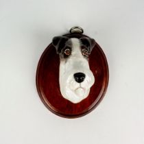 Royal Staffordshire Wall Plaque, Wire Fox Terrier